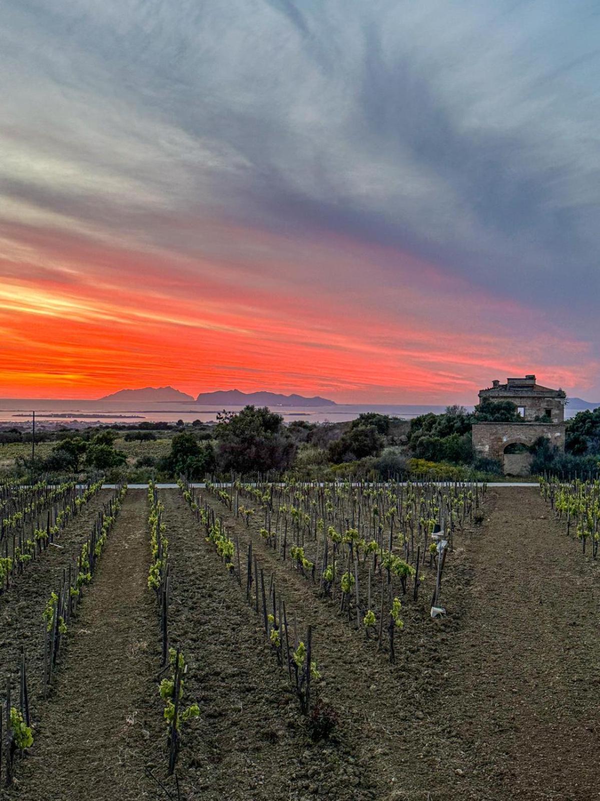 Agriturismo Baglio Donnafranca Wine Resort 마르살라 외부 사진