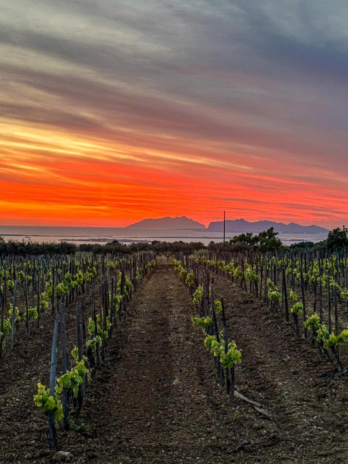 Agriturismo Baglio Donnafranca Wine Resort 마르살라 외부 사진