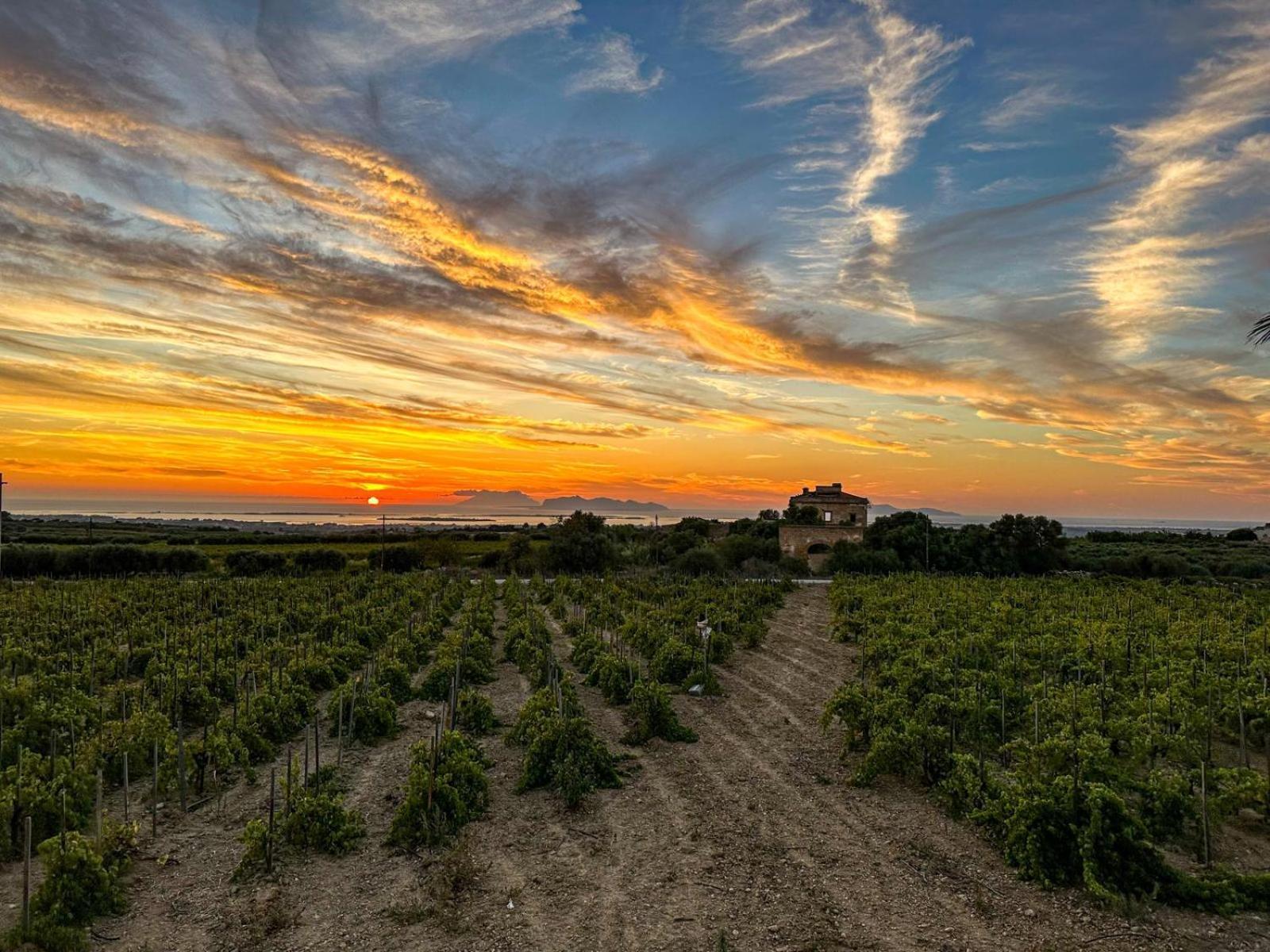 Agriturismo Baglio Donnafranca Wine Resort 마르살라 외부 사진