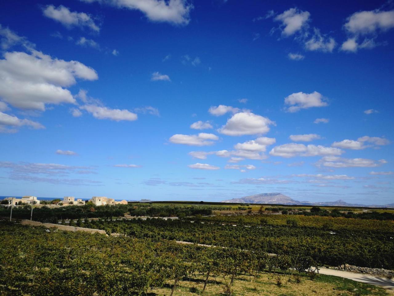 Agriturismo Baglio Donnafranca Wine Resort 마르살라 외부 사진